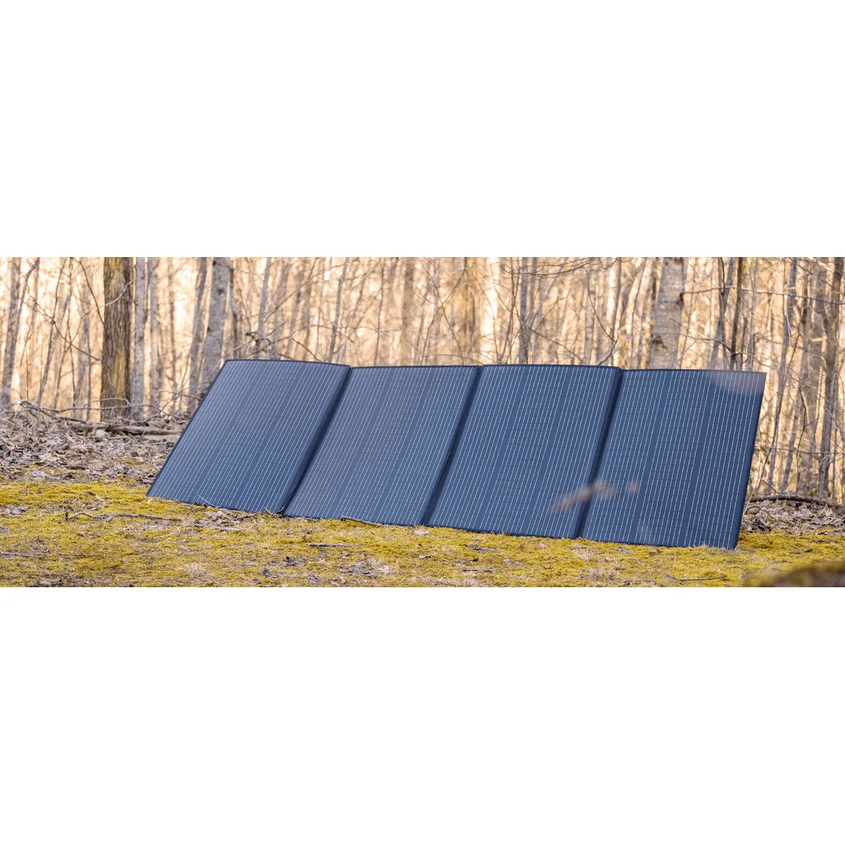 BLUETTI PV350 350W Solar Panel