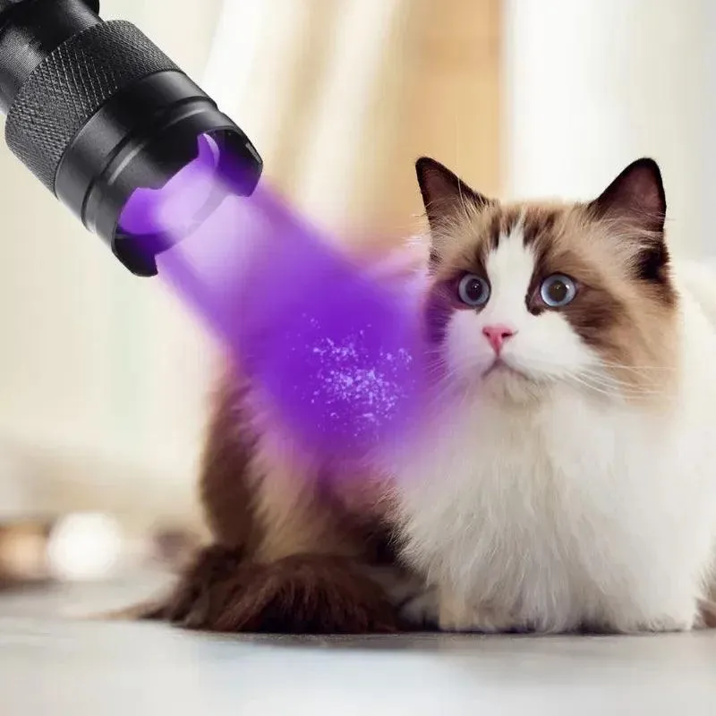 LED UV Torch: Illuminate Hidden World!